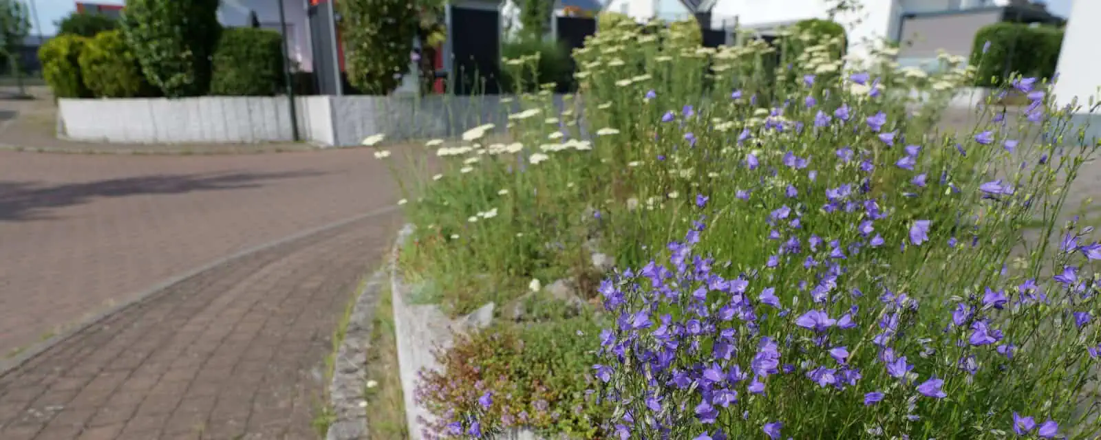 Naturgarten – Beispiel
